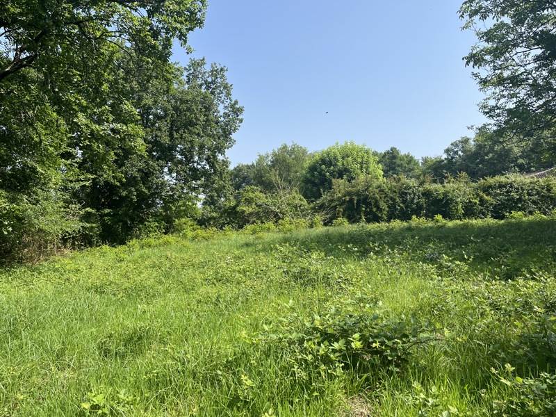 Vente Terrain ST PRIVAT DES PRES - -1650 m² - (24410)