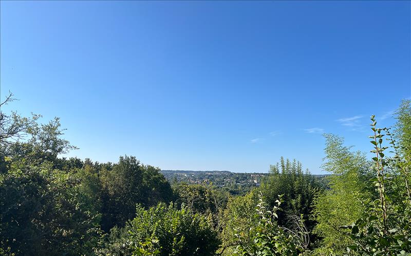 Vente Terrain VILLETOUREIX - -1717 m² - (24600)