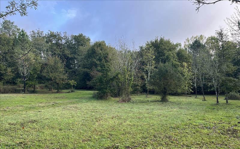 Vente Terrain ST JEAN D ATAUX - -10710 m² - (24190)
