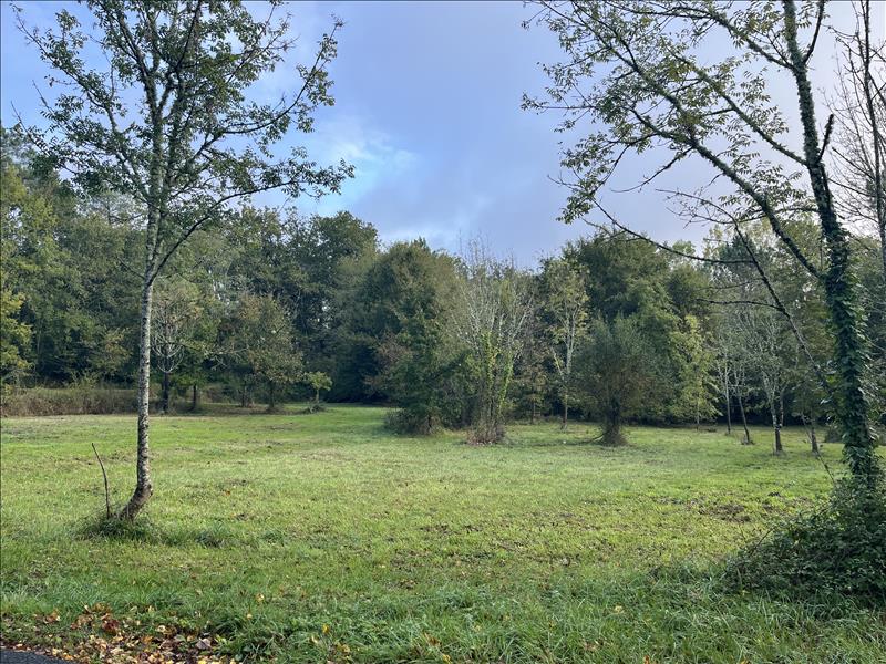 Vente Terrain ST JEAN D ATAUX - -10710 m² - (24190)