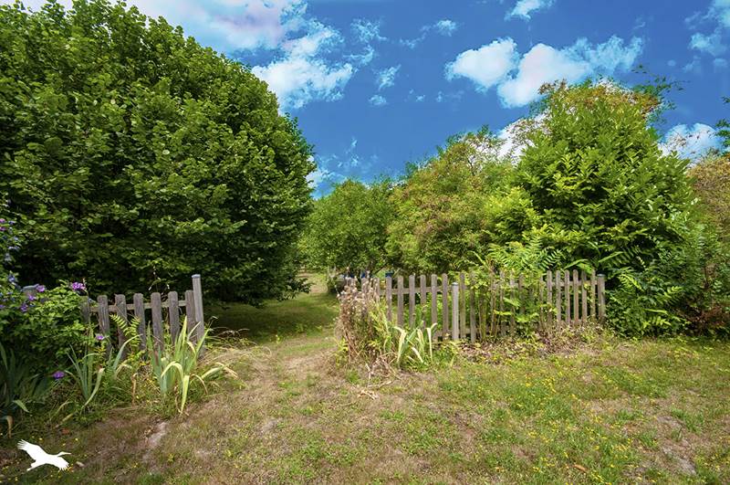 Vente Maison ST PRIVAT EN PERIGORD - 7 pièces -259 m² - (24410)