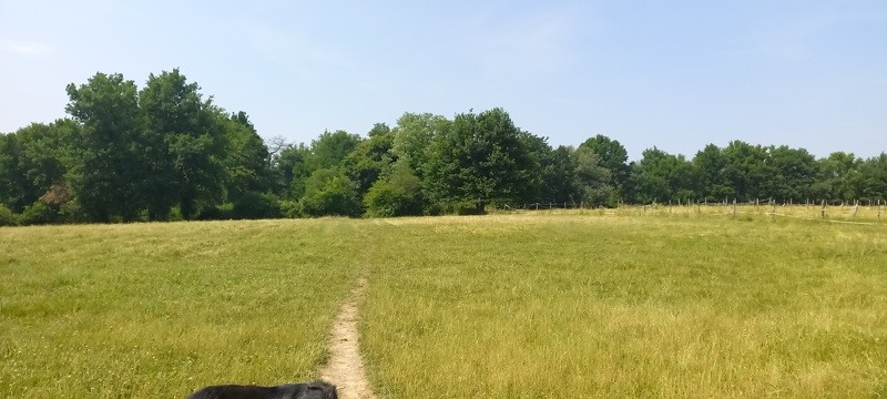 Vente Maison VANXAINS - 5 pièces -142 m² - (24600)