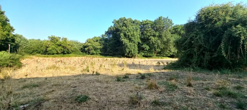 Vente Maison BOURG DU BOST - 3 pièces -128 m² - (24600)