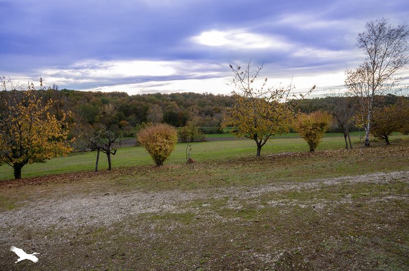 Vente Maison TOCANE ST APRE - 6 pièces -130 m² - (24350)