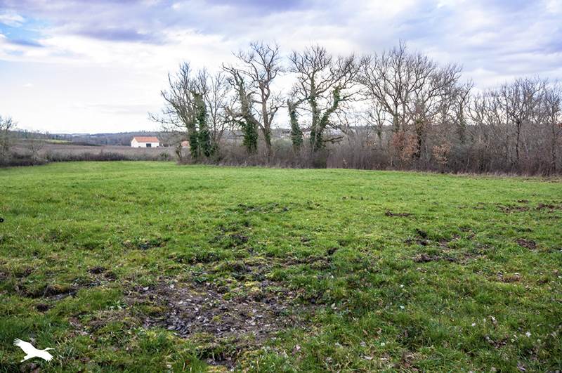 Vente Maison ST VINCENT JALMOUTIERS - 4 pièces -119 m² - (24410)