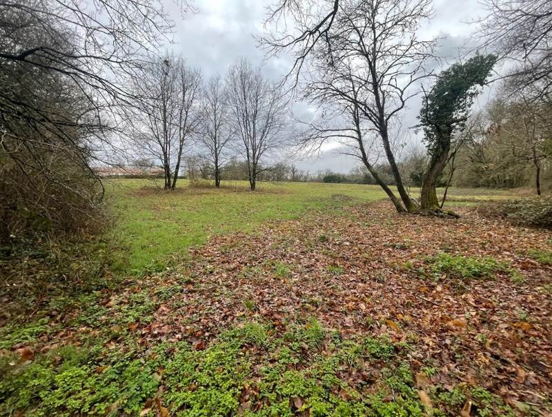 Vente Terrain RIBERAC - -3833 m² - (24600)