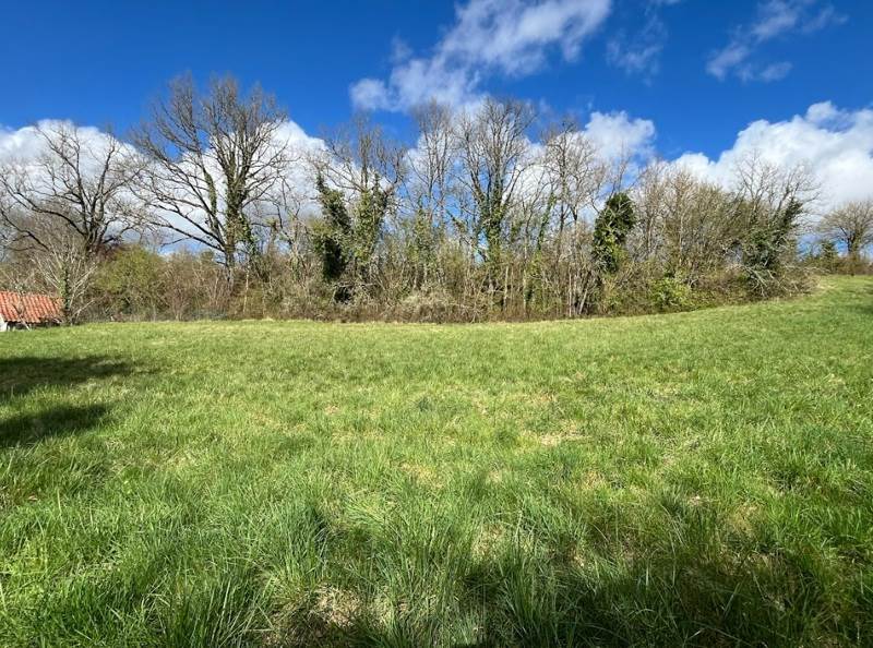 Vente Terrain RIBERAC - -2334 m² - (24600)