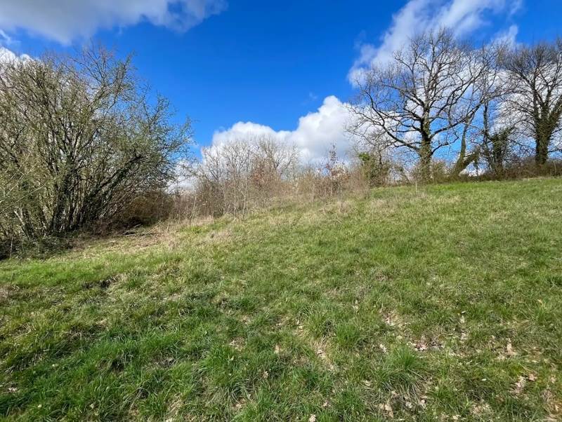 Vente Terrain RIBERAC - -2334 m² - (24600)