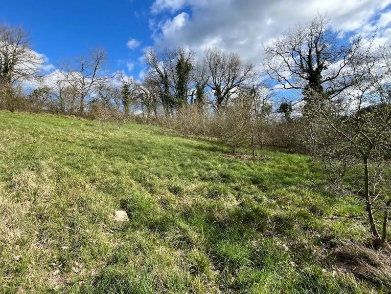 Vente Terrain RIBERAC - -4657 m² - (24600)