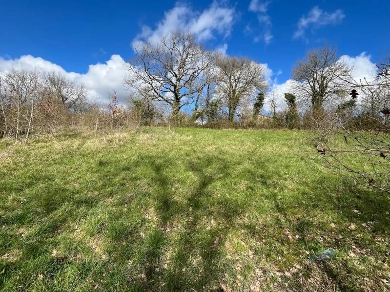 Vente Terrain RIBERAC - -6991 m² - (24600)