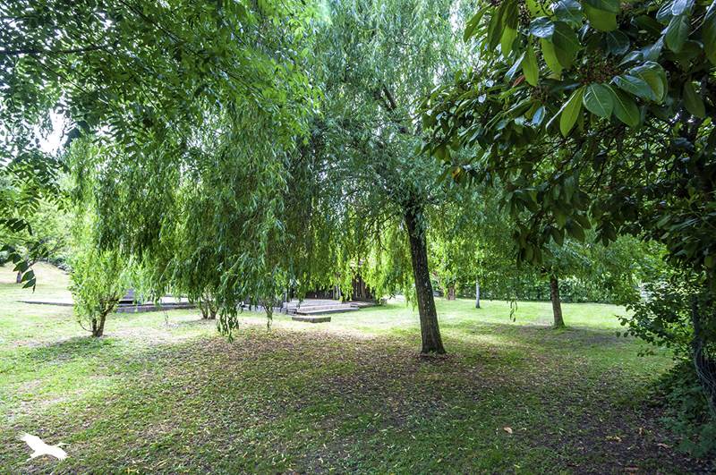 Vente Maison ST MEARD DE DRONE - 5 pièces -118 m² - (24600)