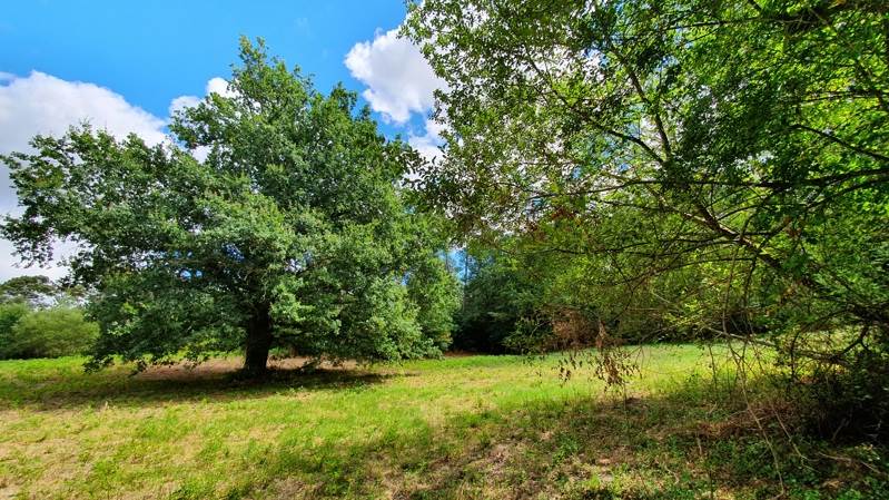 Vente Terrain ST PRIVAT DES PRES - -2981 m² - (24410)