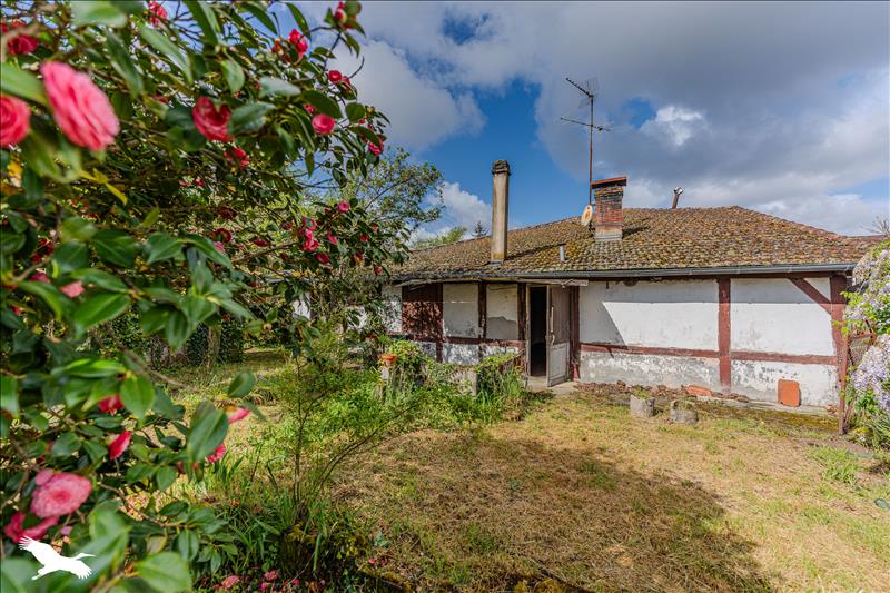 Vente Maison LABOUHEYRE - 8 pièces -172 m² - (40210)