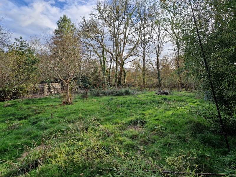 Vente Maison SABRES - 3 pièces -50 m² - (40630)