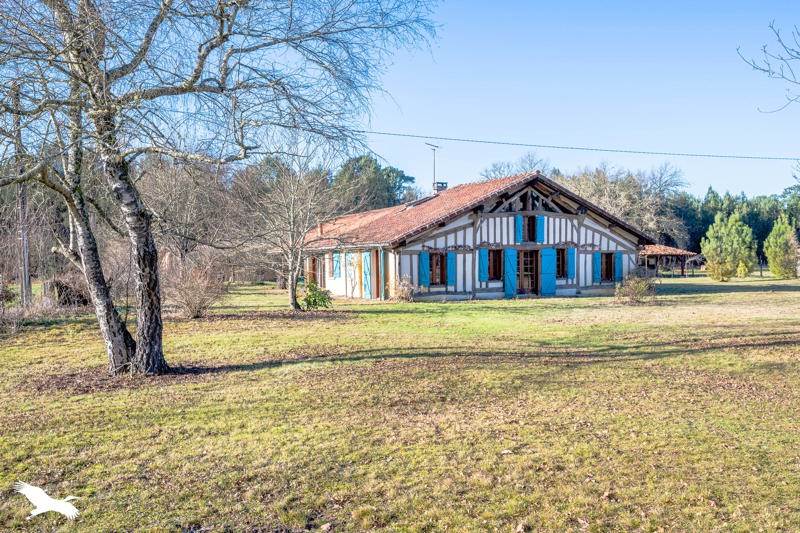 Vente Maison SABRES - 5 pièces -167 m² - (40630)