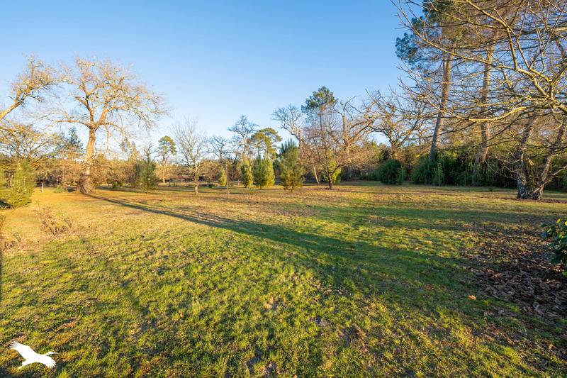 Vente Maison SABRES - 5 pièces -167 m² - (40630)