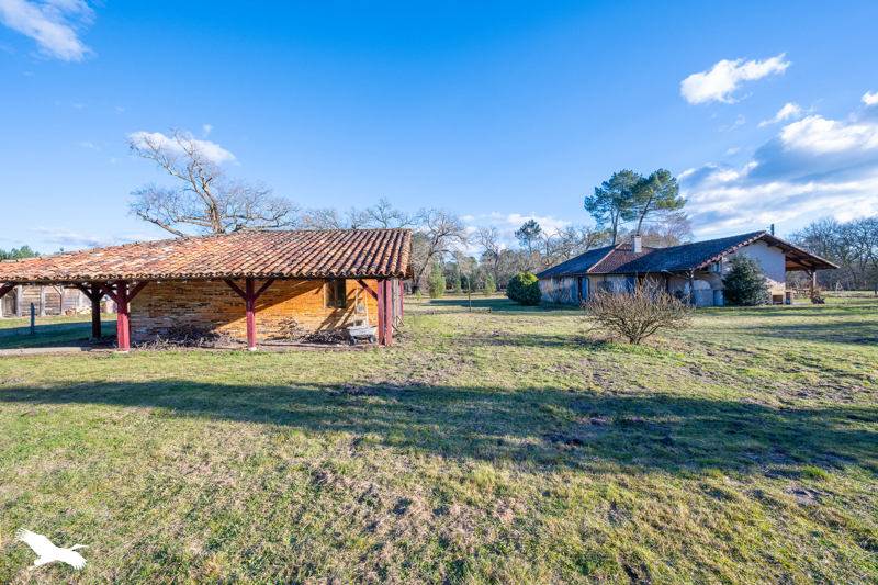 Vente Maison SABRES - 5 pièces -167 m² - (40630)