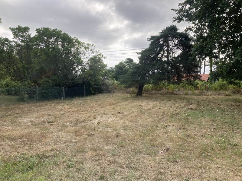 Vente Terrain LABOUHEYRE - -1000 m² - (40210)