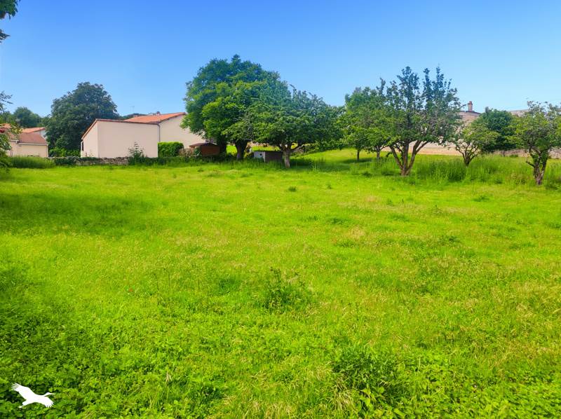 Vente Terrain Saint-Martin-de-Saint-Maixent - -2148 m² - (79400)