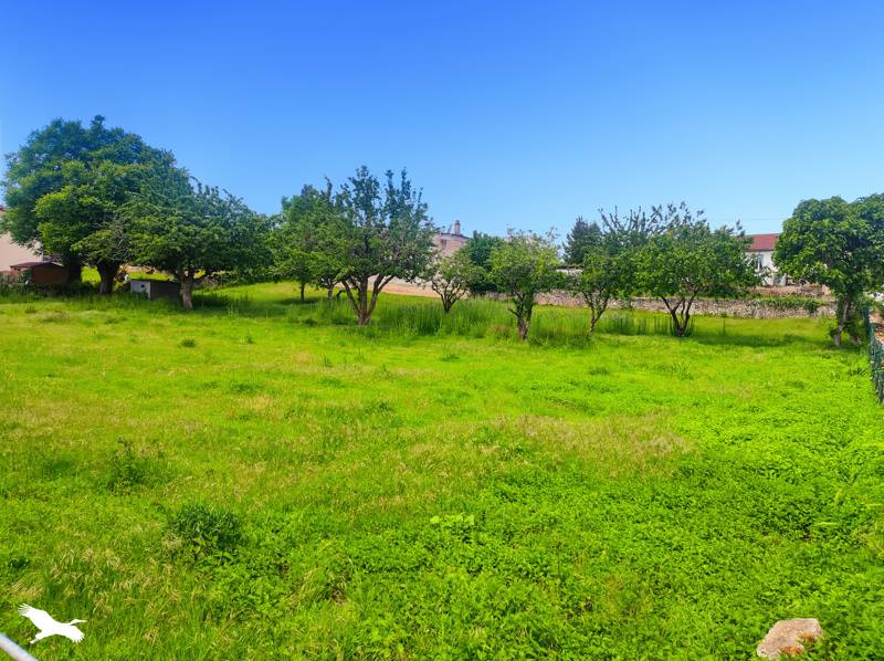 Vente Terrain Saint-Martin-de-Saint-Maixent - -2148 m² - (79400)