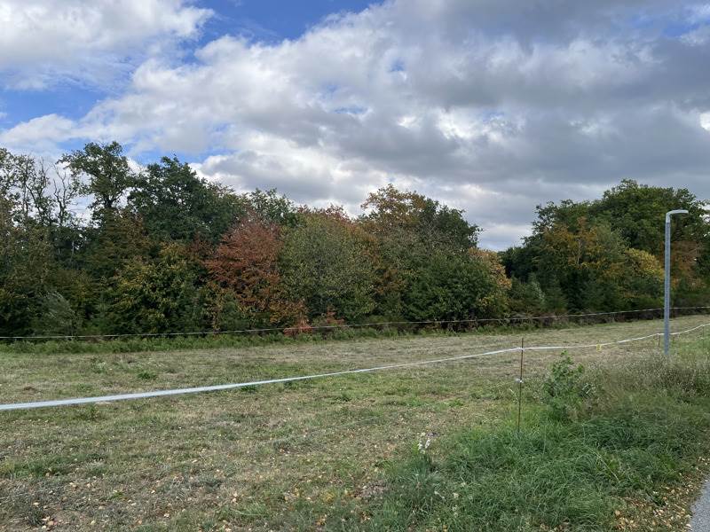 Vente Terrain Latronquière - -2718 m² - (46210)