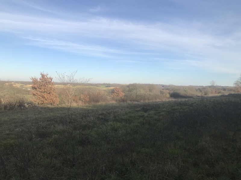 Vente Terrain JEGUN - -4459 m² - (32360)