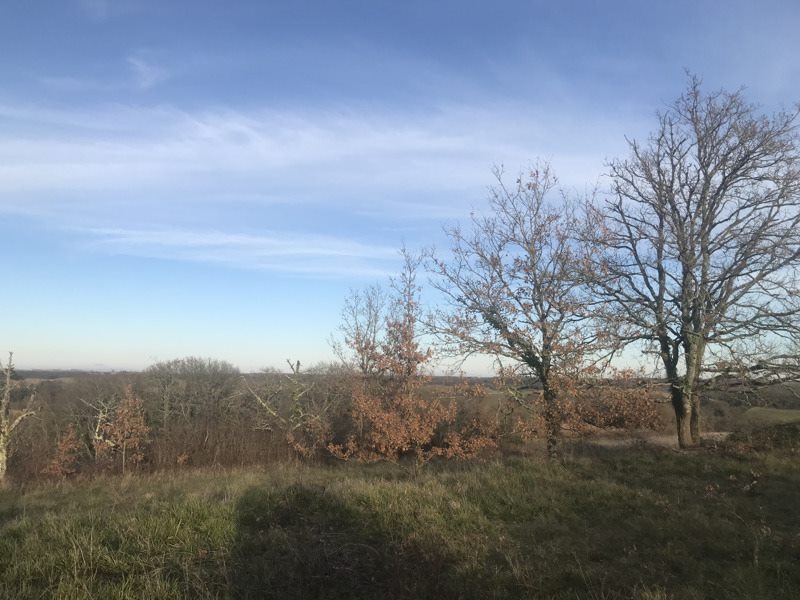 Vente Terrain JEGUN - -4459 m² - (32360)