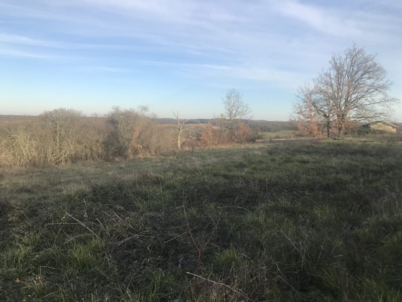 Vente Terrain JEGUN - -4459 m² - (32360)