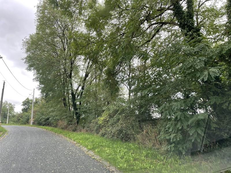Vente Terrain BOURGANEUF 23400  