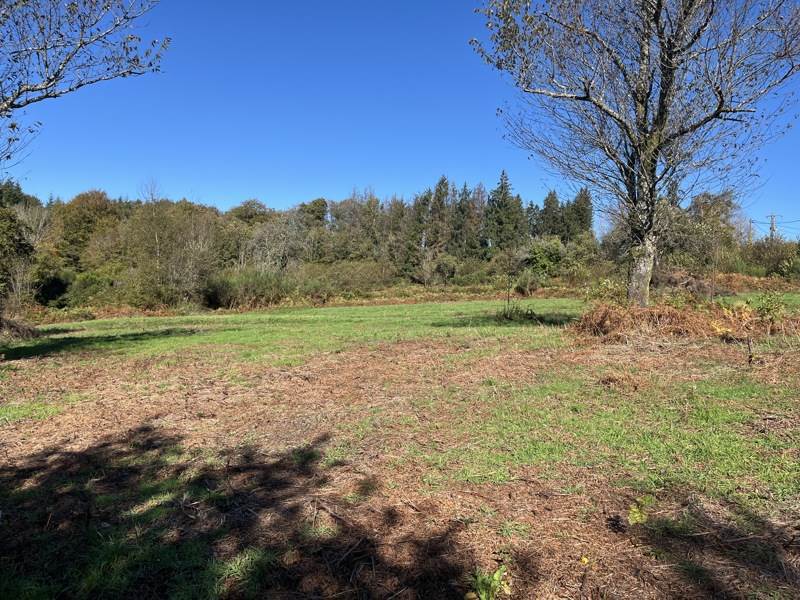 Vente Terrain Saint-Goussaud - -21961 m² - (23430)