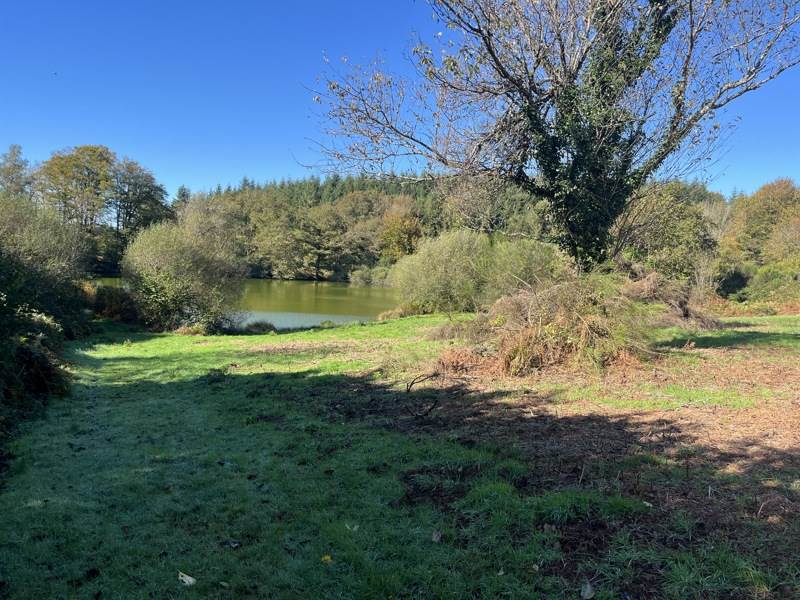 Vente Terrain Saint-Goussaud - -21961 m² - (23430)