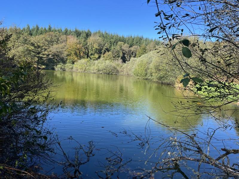 Vente Terrain Saint-Goussaud - -21961 m² - (23430)