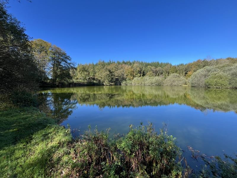 Vente Terrain Saint-Goussaud - -21961 m² - (23430)