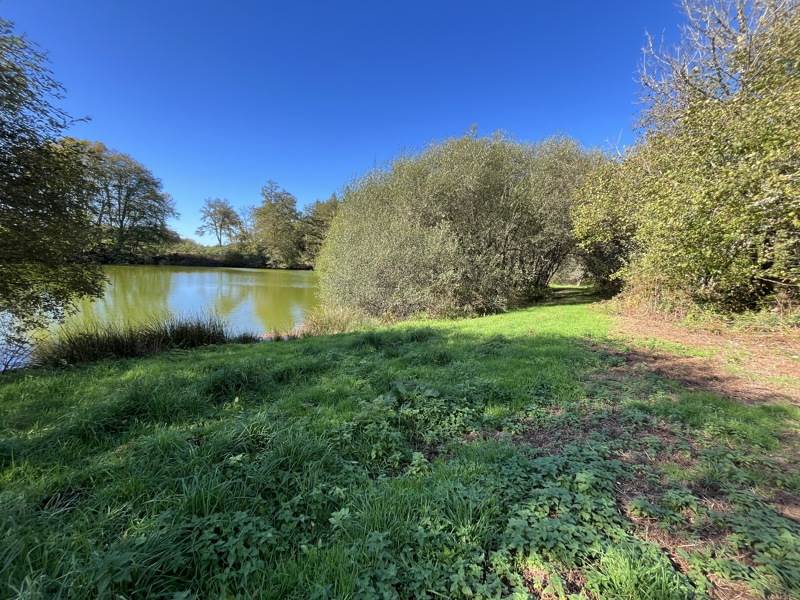 Vente Terrain Saint-Goussaud - -21961 m² - (23430)