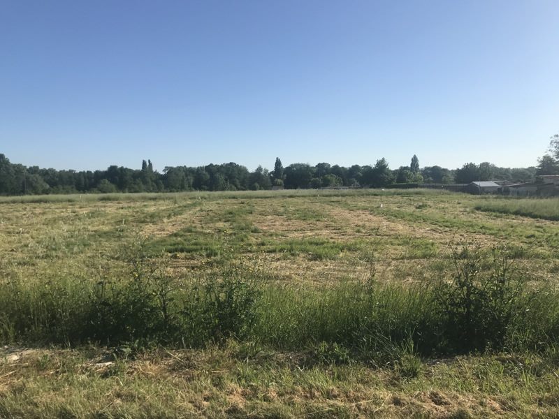 Vente Terrain ST CHRISTOLY DE BLAYE - -1050 m² - (33920)