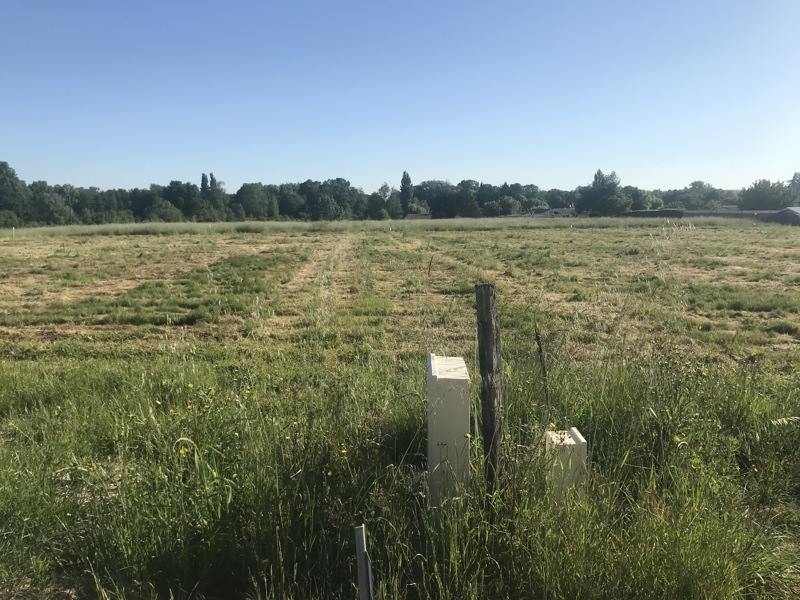 Vente Terrain ST CHRISTOLY DE BLAYE - -1050 m² - (33920)