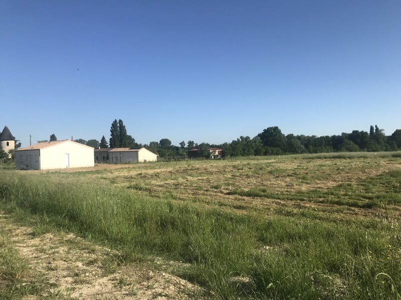 Vente Terrain ST CHRISTOLY DE BLAYE - -1050 m² - (33920)