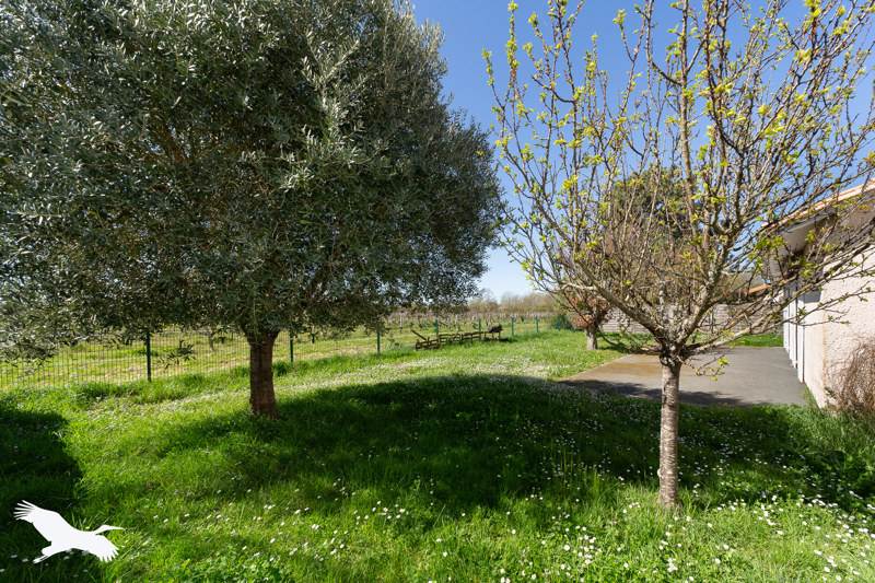 Vente Maison BLAYE - 5 pièces -120 m² - (33390)