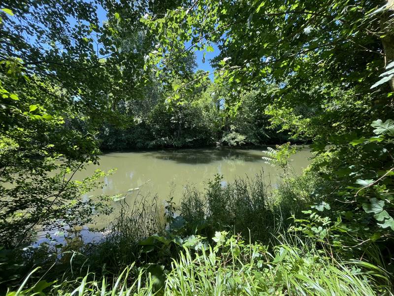 Vente Maison ABILLY - 5 pièces -76 m² - (37160)