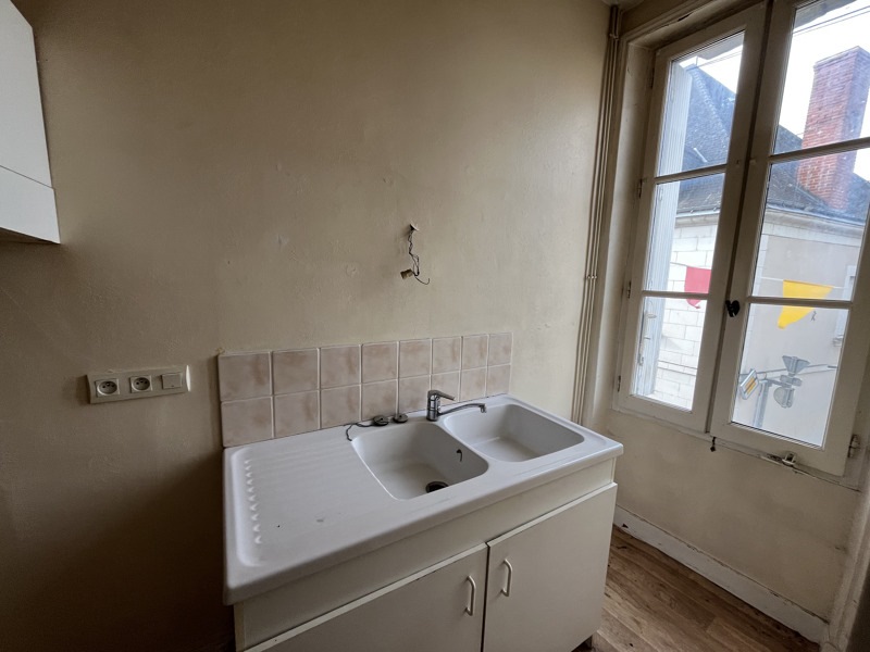 Vente Immeuble DESCARTES - -  163 m² - (37160)