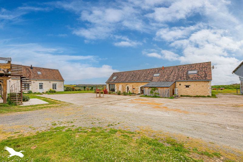 Vente Maison ESVES LE MOUTIER - 14 pièces -494 m² - (37240)