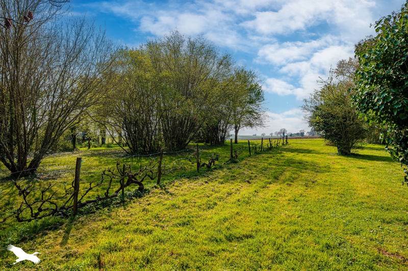 Vente Maison LIGUEIL - 5 pièces -169 m² - (37240)