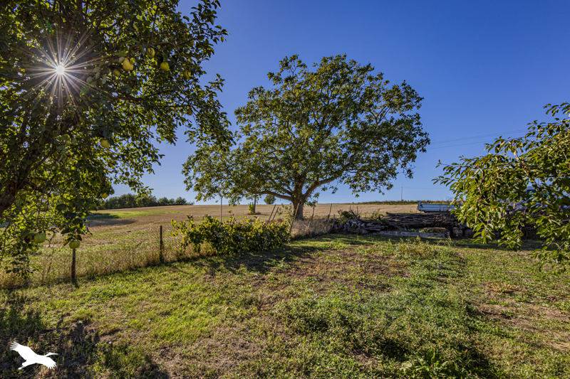 Vente Maison Descartes - 5 pièces -125 m² - (37160)
