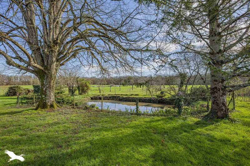 Vente Maison ST NICOLAS DES MOTETS - 6 pièces -150 m² - (37110)