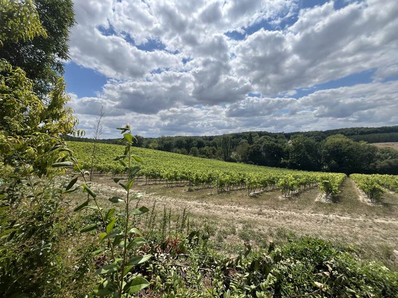 Vente Maison NONAC - 10 pièces -422 m² - (16190)