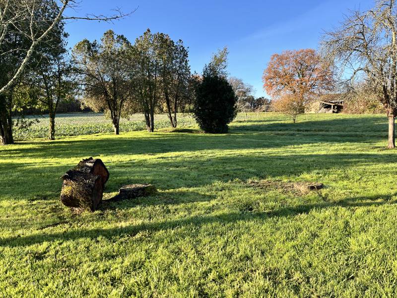 Vente Maison BORS DE MONTMOREAU - 4 pièces -111 m² - (16190)