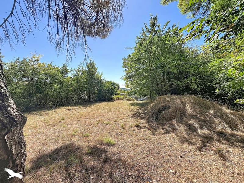 Vente Terrain ST SEVERIN - -850 m² - (16390)