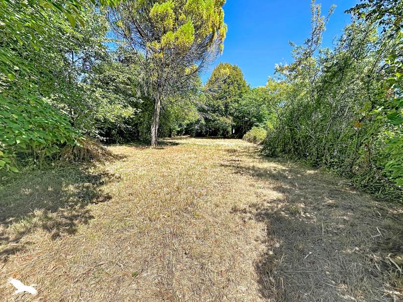 Vente Terrain ST SEVERIN - -850 m² - (16390)