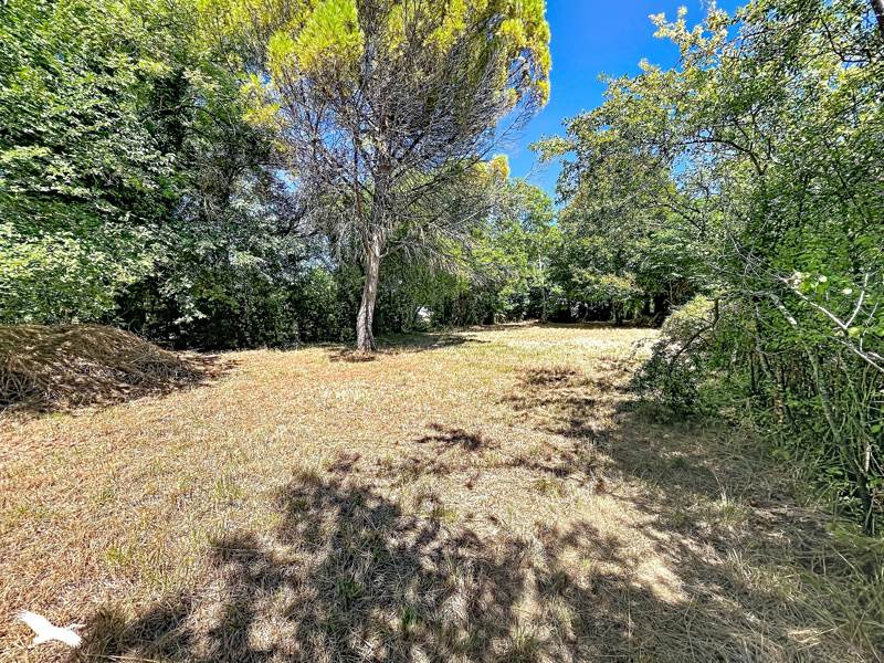 Vente Terrain ST SEVERIN - -850 m² - (16390)