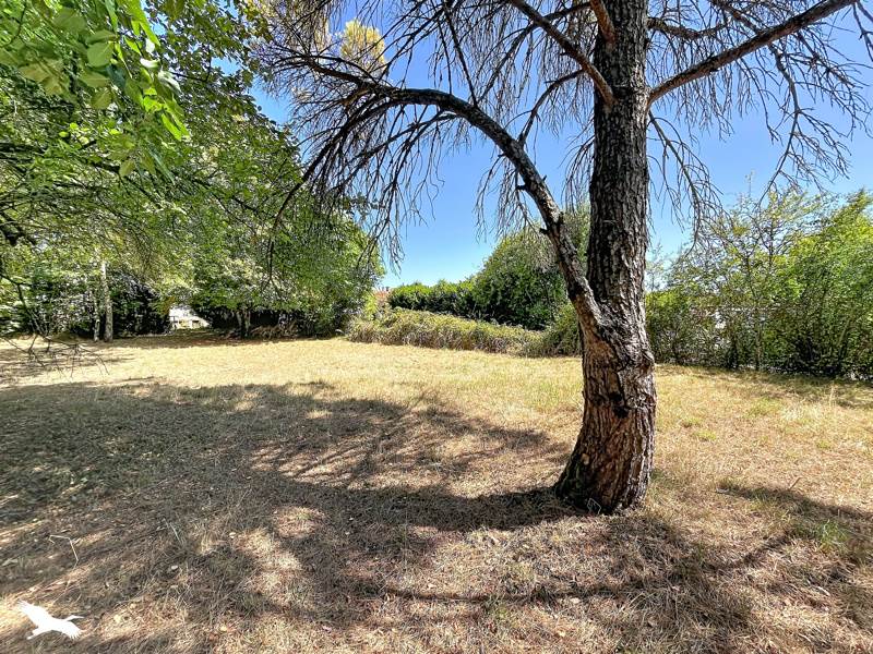 Vente Terrain ST SEVERIN - -850 m² - (16390)